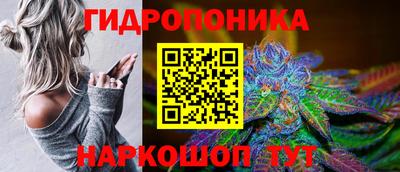 гидра Можга